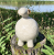 20260327_135624.jpg (2).png