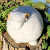 20260327_135620.jpg.png